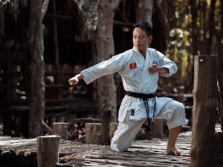 styles de Kung-fu
