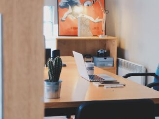 Un bureau avec ordinateur, cactus, chaise et tableau mural