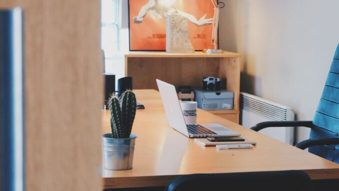 Un bureau avec ordinateur, cactus, chaise et tableau mural