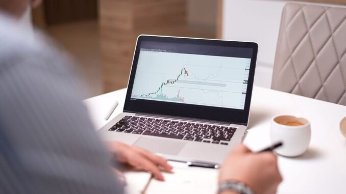 Une personne consulte un graphique sur un ordinateur portable